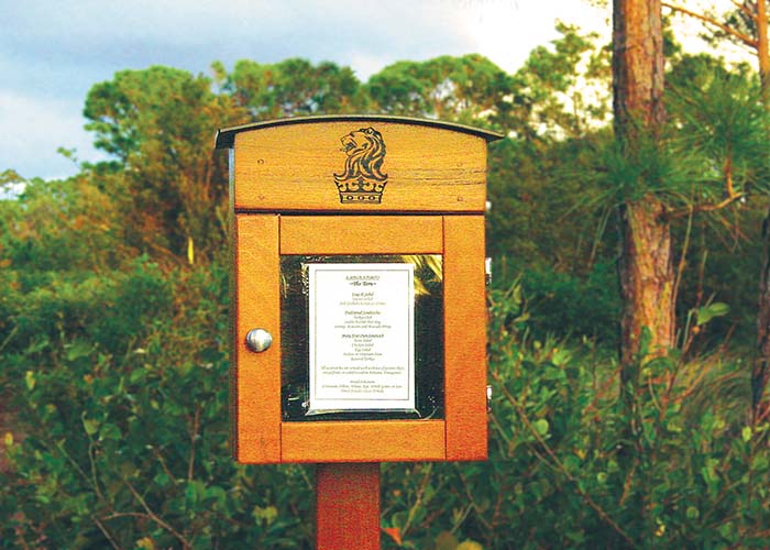 rinowood custom telephone box